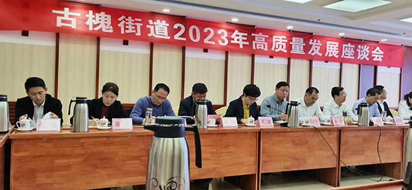 2023年古槐街道高质量座谈会