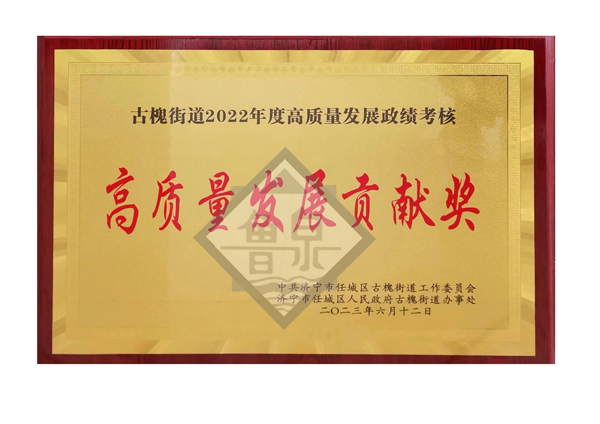 高质量发展贡献奖